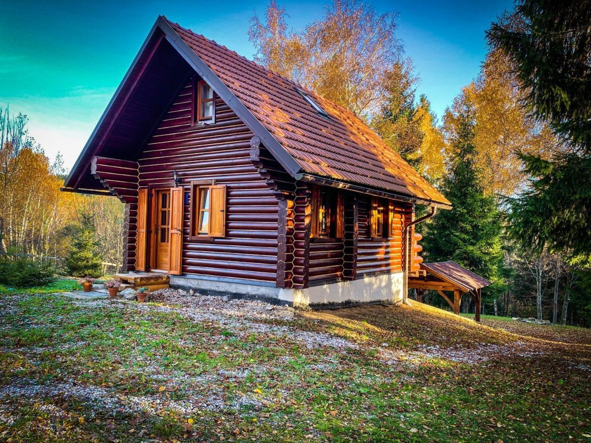 Pine Lodge Hlevci Exteriér fotografie