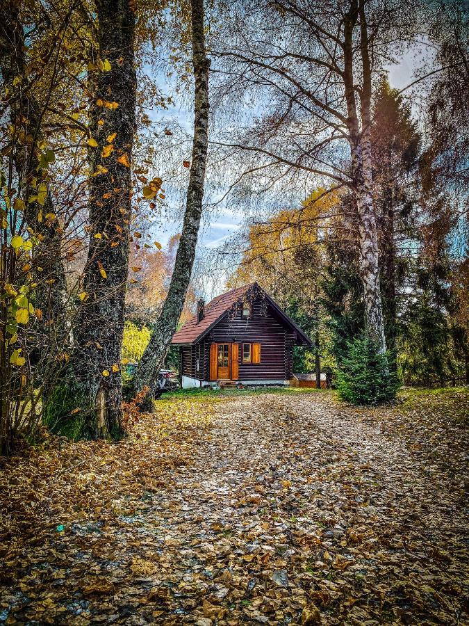 Pine Lodge Hlevci Exteriér fotografie