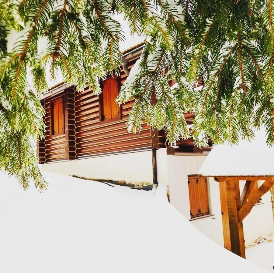 Pine Lodge Hlevci Exteriér fotografie